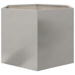 vidaXL Jardinière hexagone 69x60x45 cm acier inoxydable