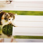 12 étiquettes adhésives scolaires - Rectangle - Photos Chatons