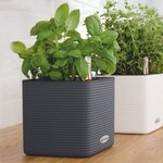 Lechuza jardinière de table cube color 14 all-in-one blanc