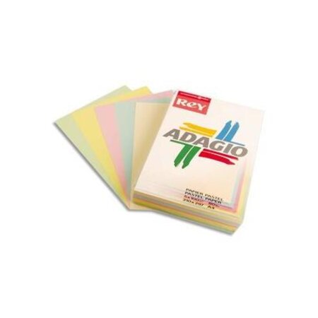 Ramette 50 feuilles x 5 teintes ADAGIO 80g format A3 assortis pastel et vif PAPETERIES DE FRANCE