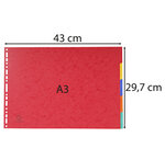 Intercalaires Carte Lustrée 400g 5 Positions - A3 - Couleurs Assorties - X 20 - Exacompta