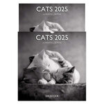 Grand Calendrier Mural 29x29  cm - 2025 - Chats noir et blanc 2025 - Draeger