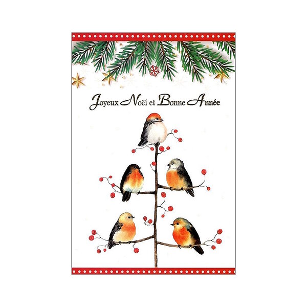 Carte De Voeux - Joyeux Noel Bonne Année 5 Oiseaux Rouge Gorge
