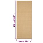 vidaXL Tapis Sisal naturel 100x250 cm