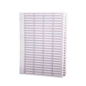 Intercalaires Imprimés À Touches Plastifiées - 100 Touches 1 À 100 - A4 - Blanc - Exacompta