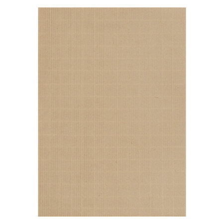 Pochette kraft armé brun 162 x 229 mm 130 g - boîte de 500 - gpv