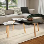 vidaXL Ensemble de tables basses 2 Pièces Bois de pin massif Noir
