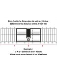 THIRARD - Cylindre 30 x 50 mm panneton ESP 3 clés nickelé