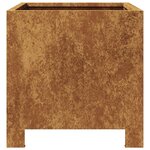 vidaXL Jardinières 2 Pièces 30x30x30 cm acier corten