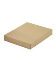 (lot  20 caisses) caisse carton palettisable c avec couvercle 300 x 200 x 200 mm