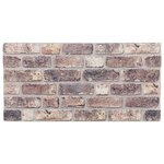 vidaXL Panneaux muraux 3D 10 Pièces marron foncé 100x50 cm EPS