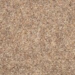 vidaXL Tapis autoadhésifs de marches 5 Pièces Crème 56x17x3 cm Aiguilleté