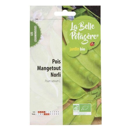 Graines à semer - Pois Mangetout Norli - 50 g