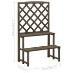 vidaXL Support de plantes et treillis Gris 70x42x115 cm Bois de sapin