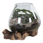Goutte d'eau en teck et verre naturel 15 x 20 cm