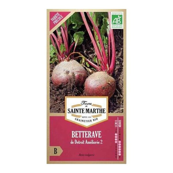 Betterave de Detroit bio - Graines à semer