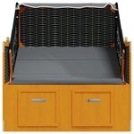 vidaXL Strandkorb avec auvent résine tressée et bois solide anthracite