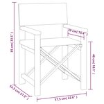 vidaXL Chaises de metteur en scène lot de 2 Bois de teck massif Gris