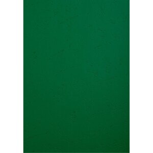 Paquet De 100 Couvertures Grain Cuir Pour Reliure A4 - Vert Foncé - Clairefontaine