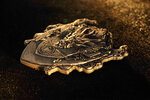 DRAGON ETERNEL ANGE GUARDIEN DES ROYAUMES CELESTES Pièce 2 Once Argent Antique 2000 Francs Cameroun 2025