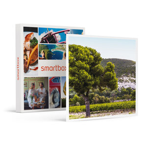 SMARTBOX - Coffret Cadeau Box œnologie : 6 bouteilles de vin rosé livrées à domicile -  Gastronomie