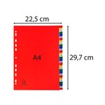 Intercalaires Imprimés Numériques Pp Couleurs 31 Positions - A4 - Couleurs Assorties - X 20 - Exacompta