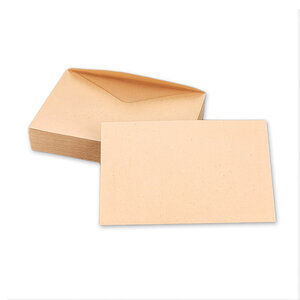 Lot de 100 Enveloppes ELECTIONS 90x140 mm - chamois 75 g