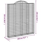 vidaXL Paniers à gabions arqués 11 Pièces 200x30x220/240 cm fer galvanisé