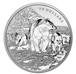 Pièce de monnaie 30 Dollars Canada Grizzlis 2023 – Argent BE