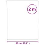 vidaXL Films de miroir 2 Pièces auto-adhésive 60x200 cm PET