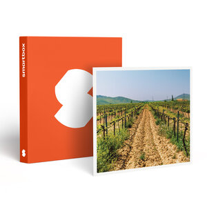 SMARTBOX - Coffret Cadeau Visite du vignoble de la Bastide des oliviers et de sa cave avec dégustation pour 2 - Gastronomie