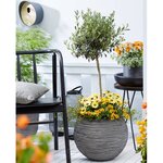 Capi Pot à fleurs Nature Rib rond 40 x 32 cm anthracite KOFZ270