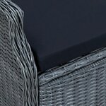 vidaXL Chaise inclinable de jardin coussins Résine tressée Gris foncé