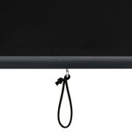 vidaXL Store roulant d'extérieur 80 x 250 cm Anthracite