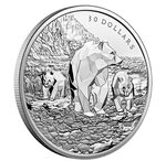 Pièce de monnaie 30 Dollars Canada Grizzlis 2023 – Argent BE