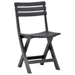 vidaXL Chaises de jardin pliables 2 Pièces Plastique Anthracite