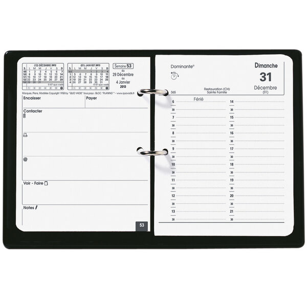 Agenda BLOC PLANING FR 11 x 14 cm QUOVADIS