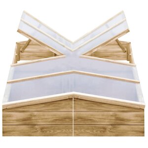 vidaXL Serres 2 Pièces Bois de pin imprégné 200x50x35 cm