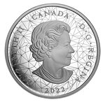 Pièce de monnaie 30 Dollars Canada Pygargues à tête blanche 2022 – Argent BE