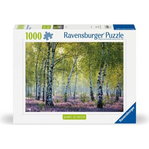 Ravensburger 12000117 - Puzzle 1000 pièces Forêt de bouleaux