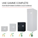 Boite à colis Atout 1 porte Noir Sablé RAL 2100MS