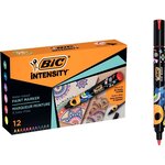 Boîte de 12 marqueurs peinture Intensity assortis