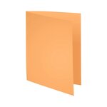 Paquet 10 Chemises Super 210 - 24x32cm - Couleurs Assorties - X 10 - Exacompta