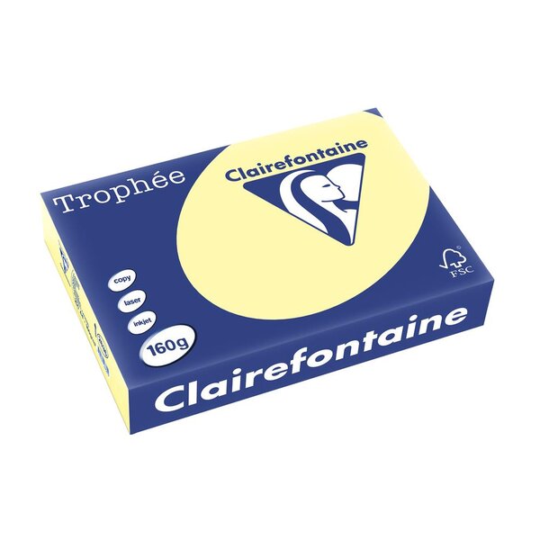 Ramette 250 Feuilles Papier 160g A4 210x297 mm Certifié FSC CANARI TROPHÉE