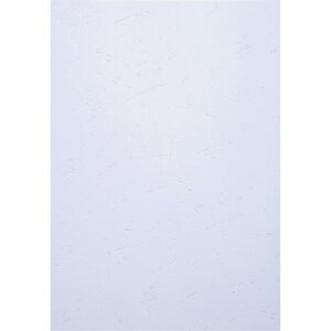Paquet De 100 Couvertures Grain Cuir Pour Reliure A4 - Blanc - Papeteries De Clairefontaine