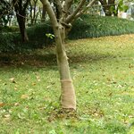 vidaXL Rouleau de jute 0 25x5 m 100   jute 200 g/m²