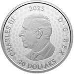 Pièce de monnaie en Argent 20 Dollars g 31.39 Millésime 2025 Commemorating Black History HOGAN VALLEY