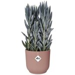 Pot de fleurs Rond VIBES - Plastique - Ø 22 - Rose poudré