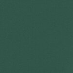 vidaXL Auvent latéral rétractable vert foncé 200x300 cm