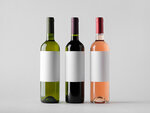 SMARTBOX - Coffret Cadeau Sélection de vins à découvrir chez soi -  Gastronomie